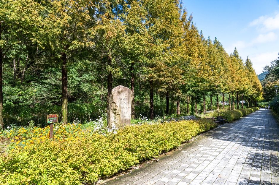 보령 무궁화수목원