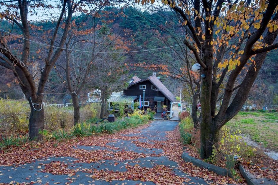 제천통나무펜션