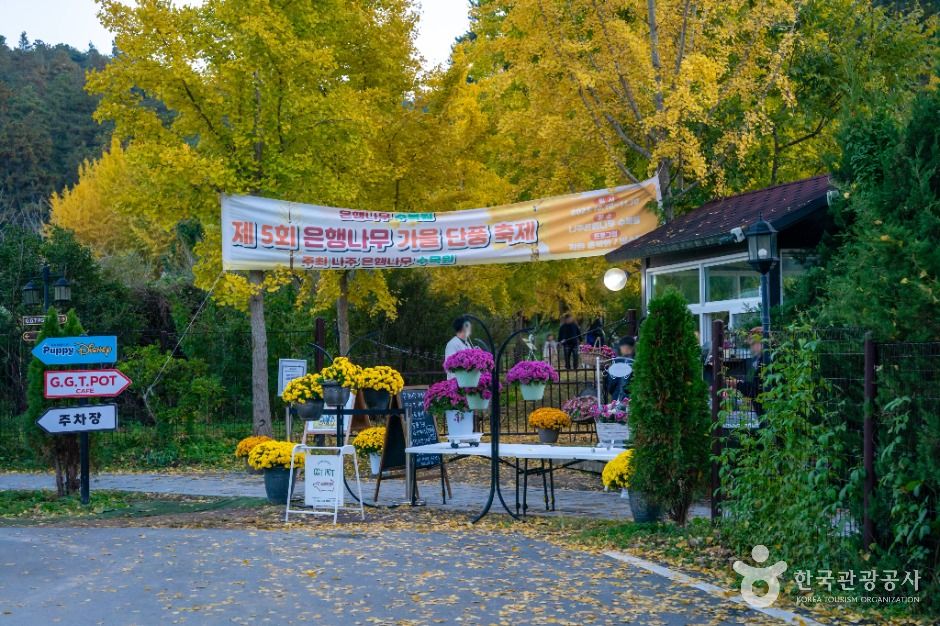 나주은행나무수목원