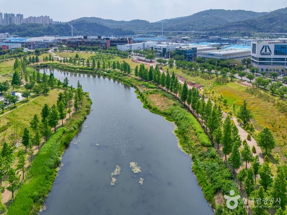 대구 세천늪테마정원