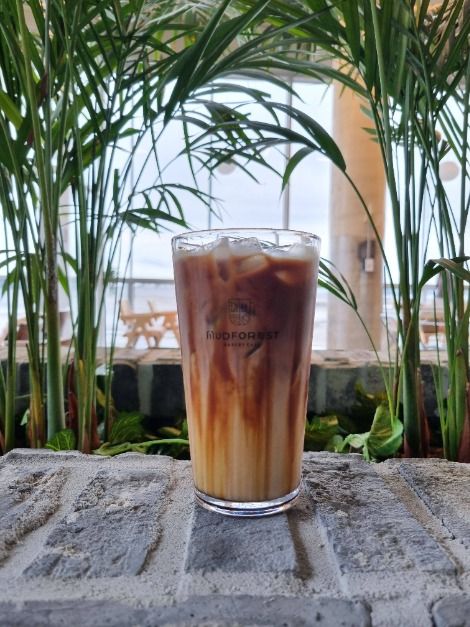 인천_머드포레스트 (10)