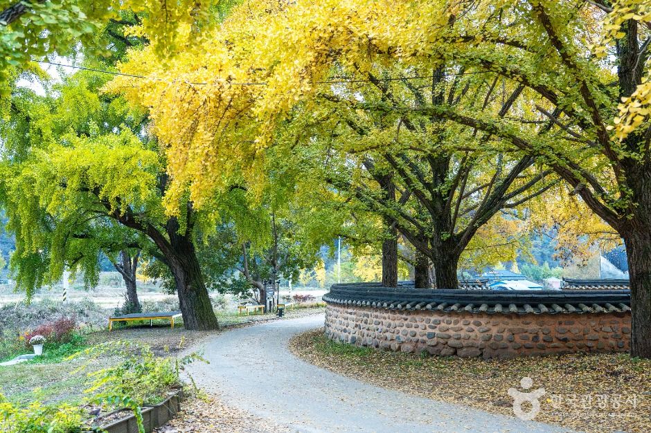 청라 은행마을 (보령)