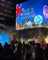 겨울밤 강남 도심을 물들이는 미디어 윈터페스타 산책기 2025 강남 미디어 윈터페스타 2