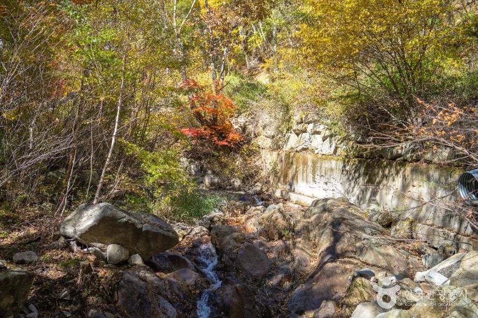 봉화 대현리 열목어 서식지