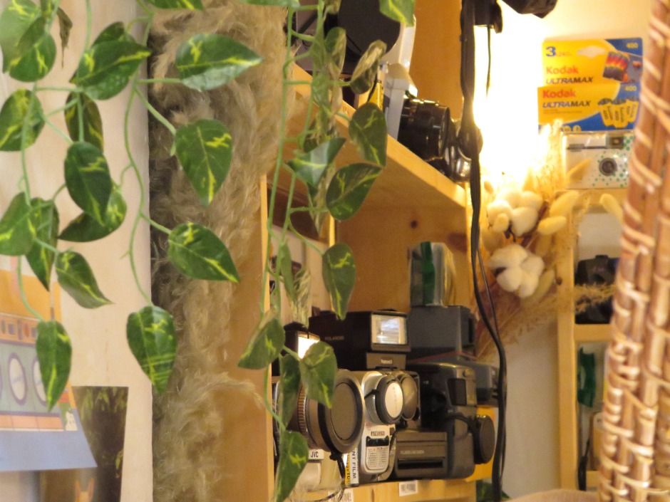 강릉_파스텔상점 (10)