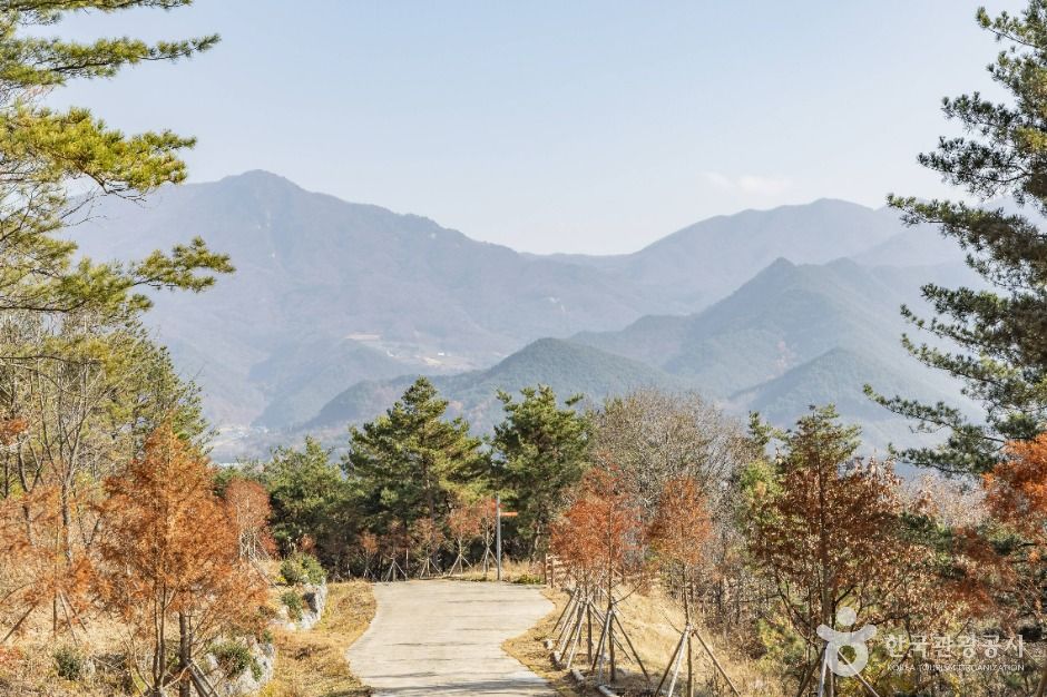 진안_고원화목원 (10)