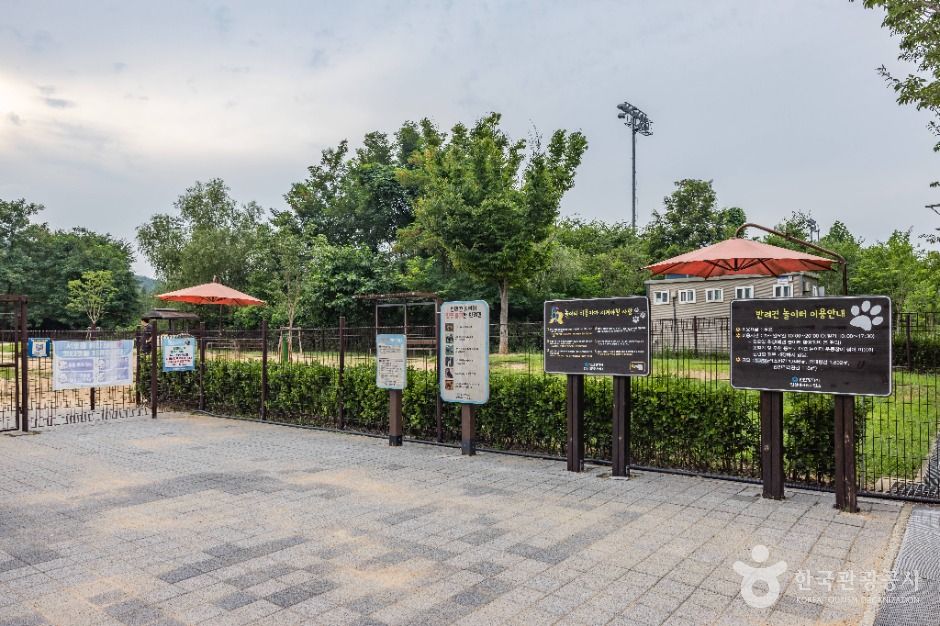 인천_인천대공원 반려동물 놀이터 (1)