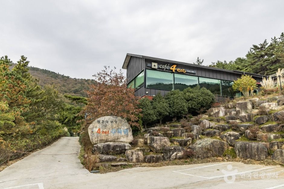 해남_포레스트 수목원 (20)