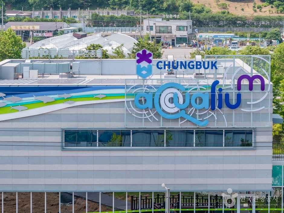 thumbnail-충북아쿠아리움-10