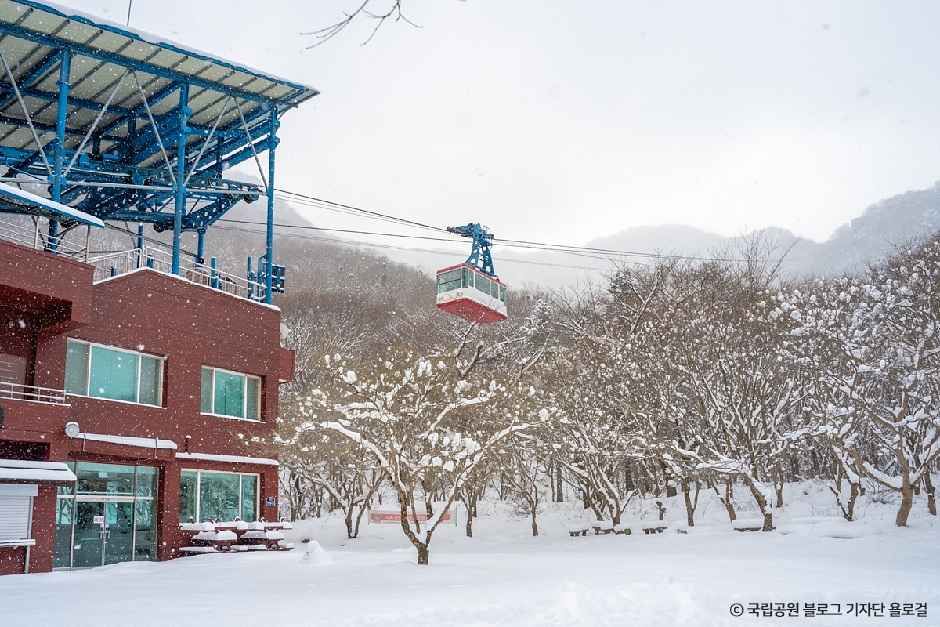 thumbnail-내장산 케이블카-0