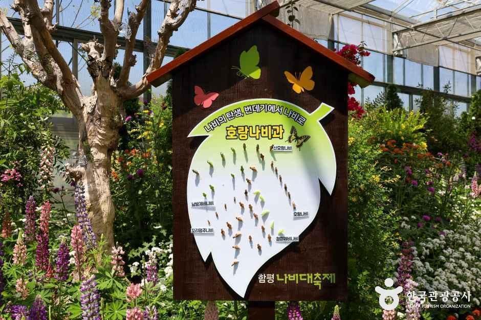 thumbnail-함평엑스포공원-22