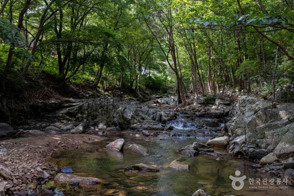 thumbnail-국립용현자연휴양림-8