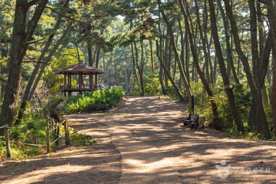 thumbnail-승봉산림욕장-3