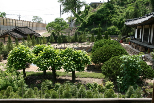 Tapdong (Head Household of the Goseong Yi Clan) (고성이씨탑동종택)