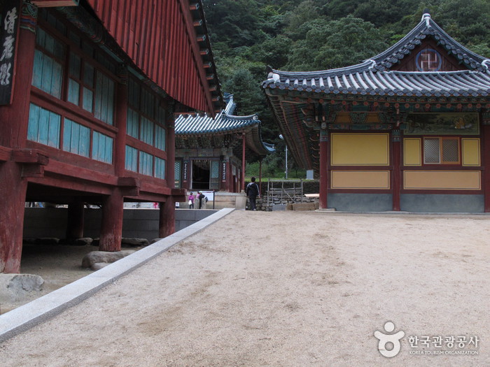 Sinheungsa Temple (Seoraksan) (신흥사(설악산)