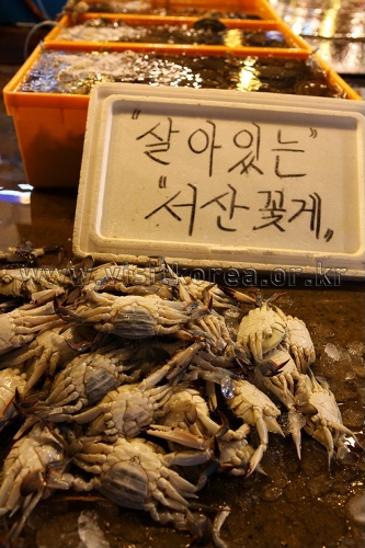 Noryangjin Fisheries Wholesale Market (노량진수산시장)