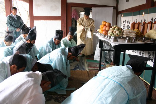 Icheon Baeksa Sansuyu Flower Festival (이천백사 산수유꽃축제)