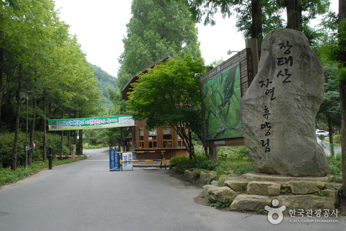 長泰山自然休養林（장태산자연휴양림）