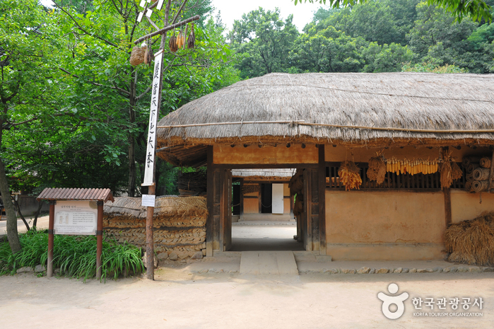한국민속촌 사진29