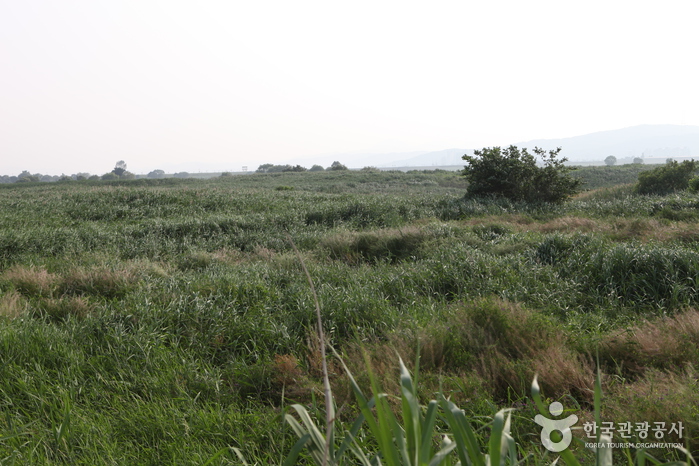 thumbnail-Dalseong Marsh (대구 달성습지)-8