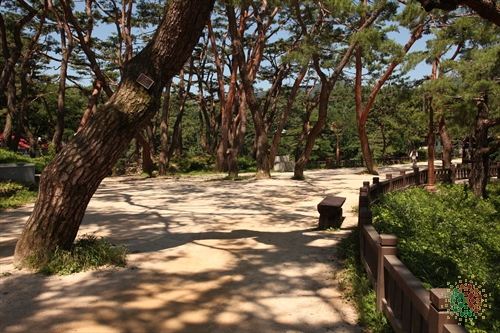 Uirimji Reservoir (제천 의림지와 제림)