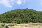 구룡산(강원)