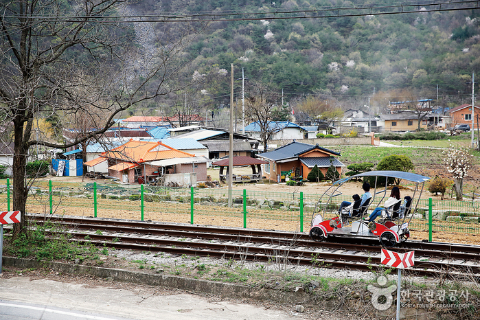Mungyeong Rail Bike (문경 철로자전거(레일바이크))