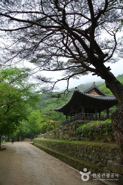 문경새재도립공원 사진49