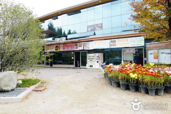 弘法寺(釜山)(홍법사(부산))