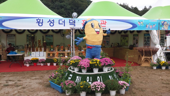 횡성더덕축제 2017 사진9