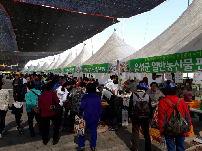 음성 인삼축제 20192