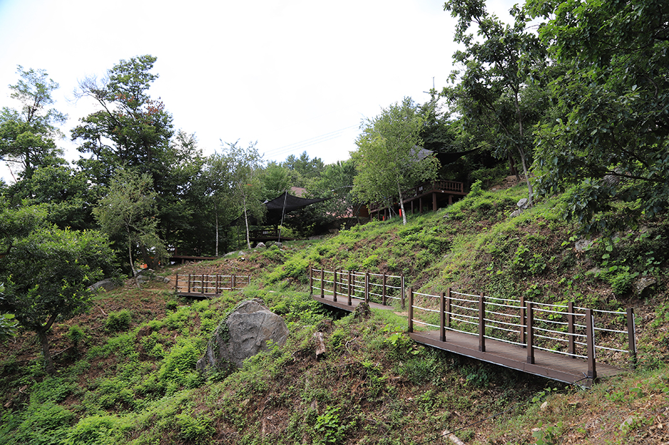 용문산 자연휴양림2