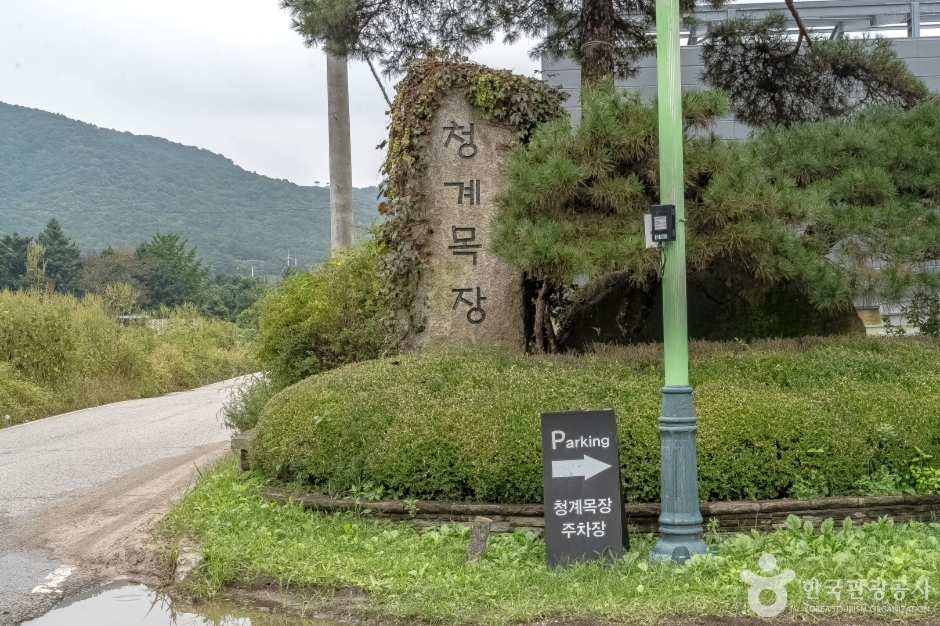 Cheonggye Farm (청계목장)