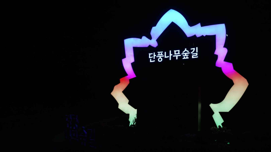 thumbnail-2024 독립기념관 야간개장 '별 헤는 밤' 시즌 1-5