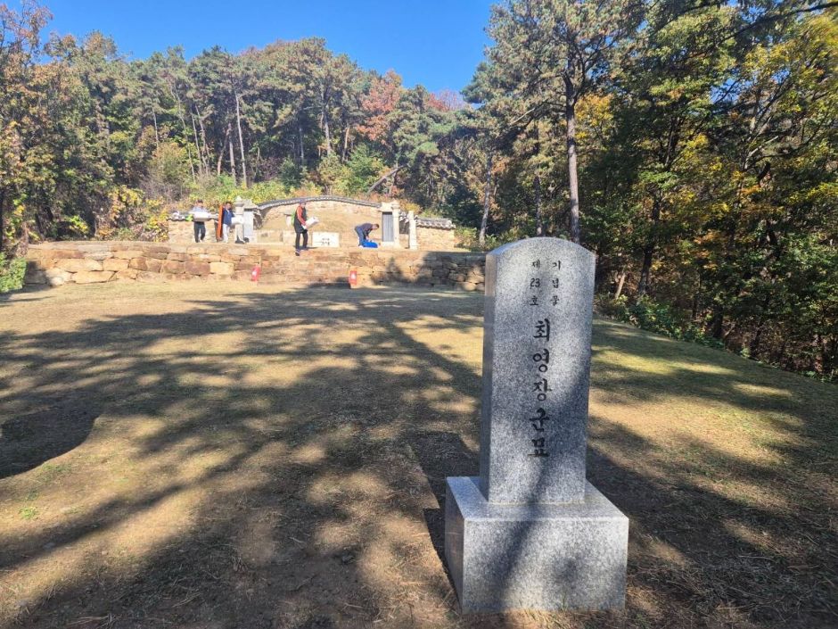 최영장군묘