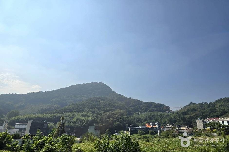 마금산_e (14)