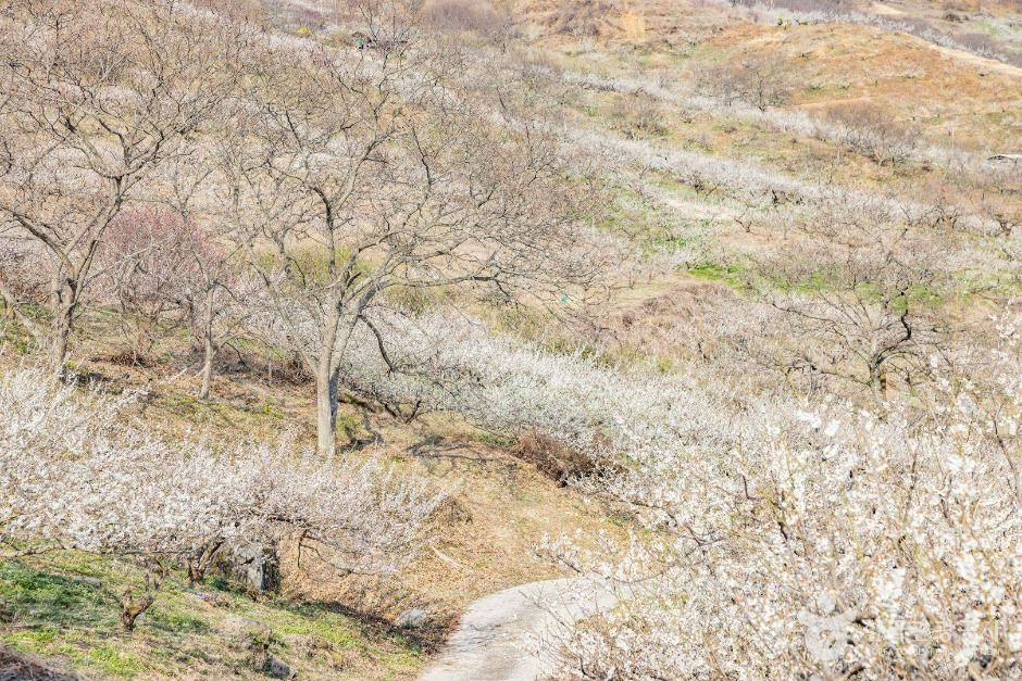 순천 향매실마을 (14)