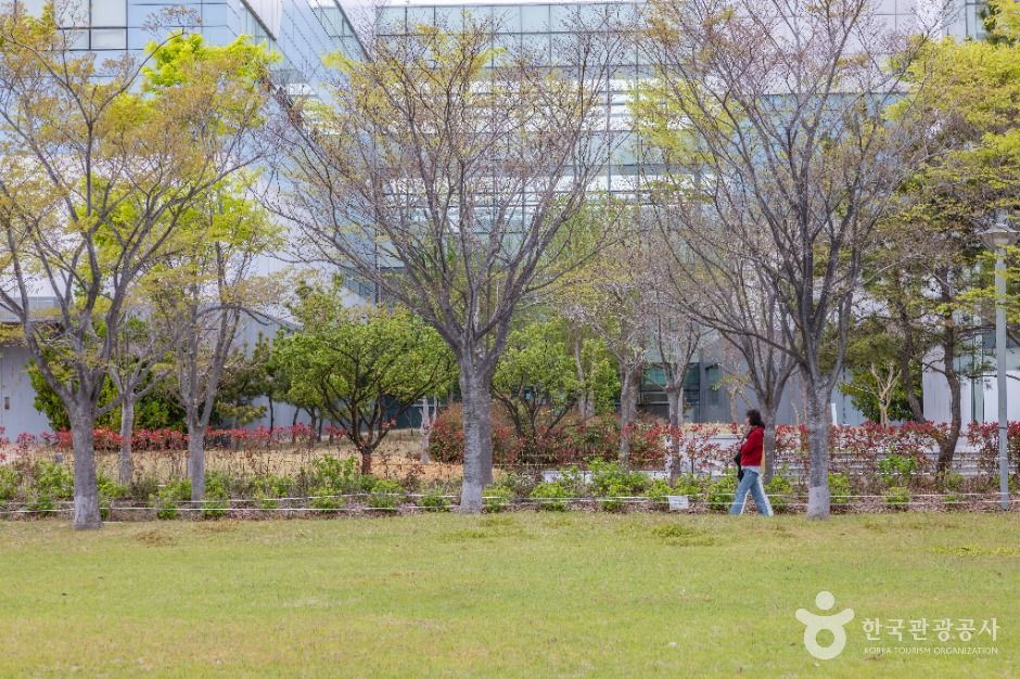 아미르공원