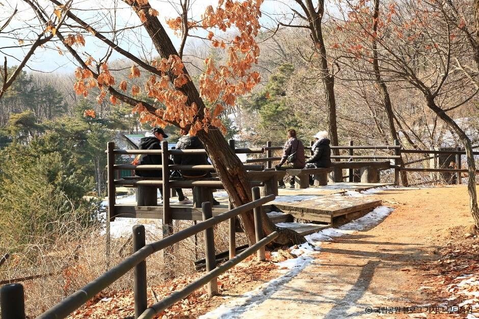 [북한산 둘레길 2구간] 순례길