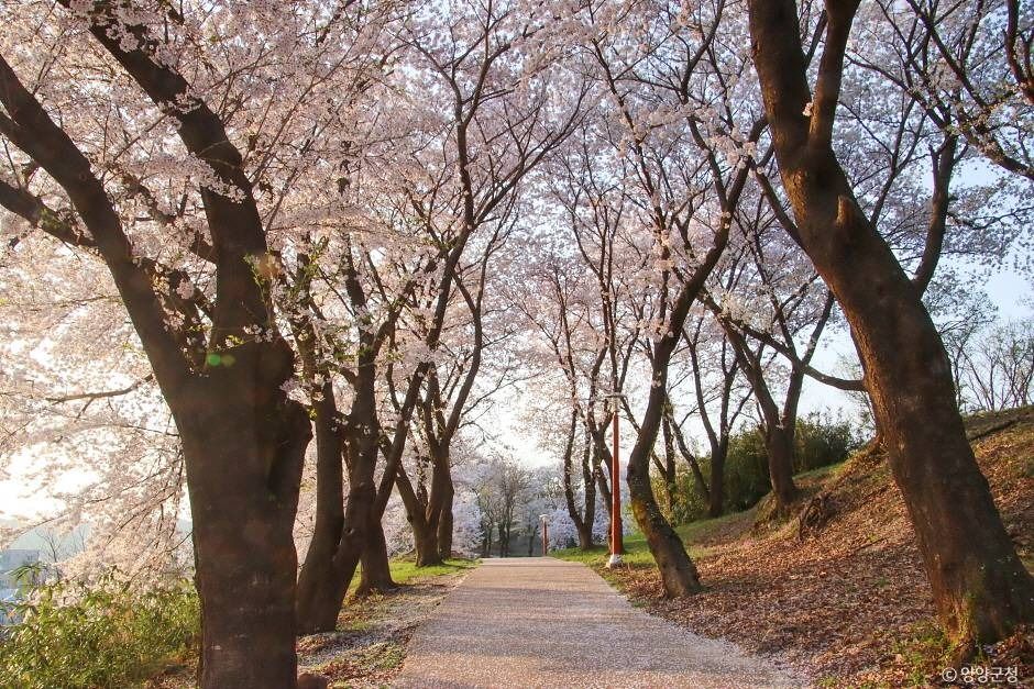 현산공원