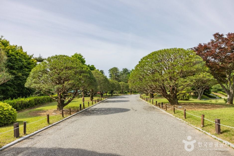 thumbnail-청남대-28