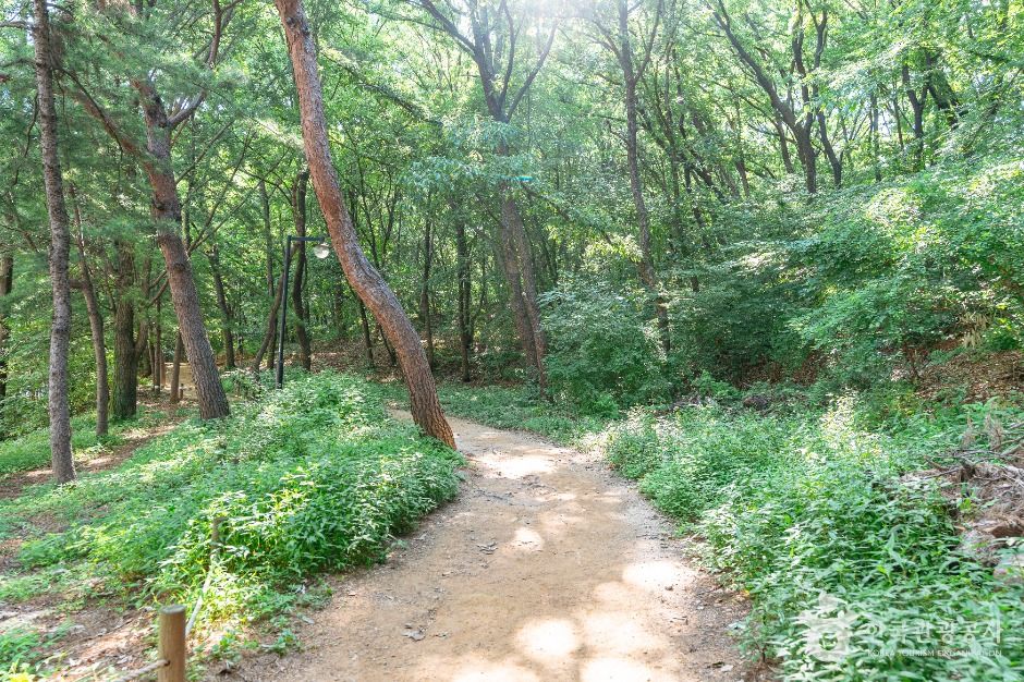 정발산공원