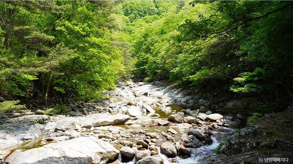 뱀사골계곡