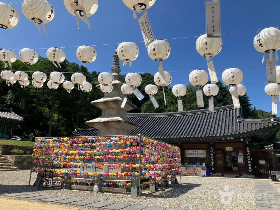 구룡사