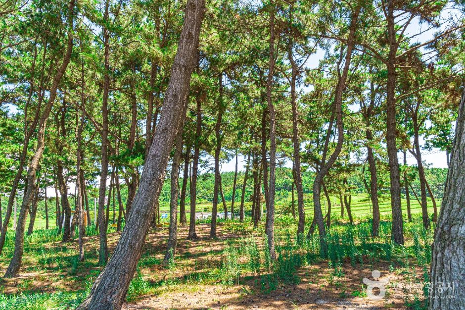 thumbnail-송계어촌체험휴양마을-10