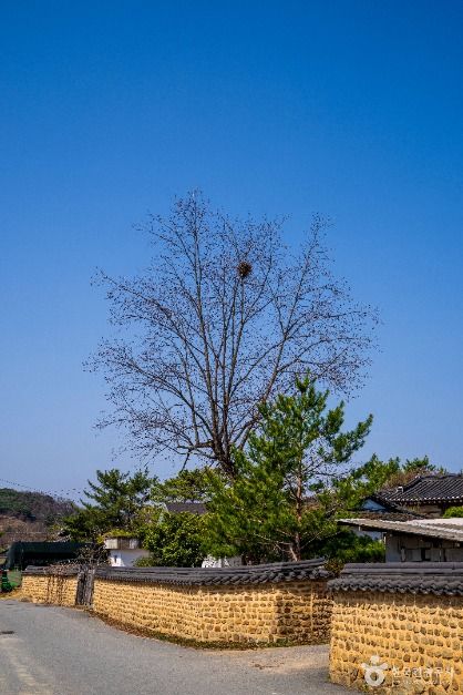 매원마을