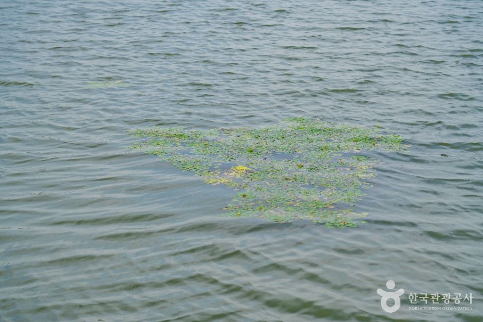 thumbnail-분지섬저수지-6