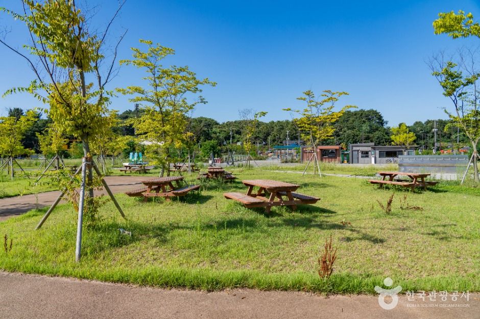 thumbnail-궁평관광지-5