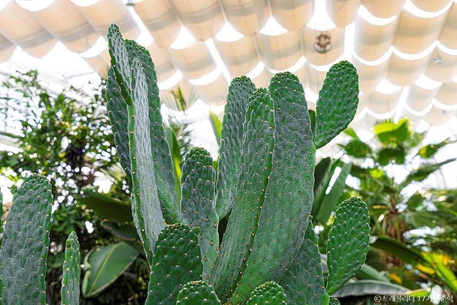 과일나라테마공원