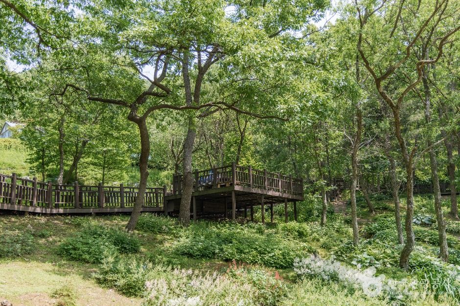 thumbnail-율곡수목원-7